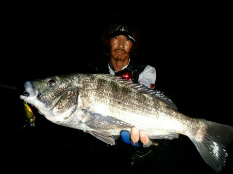 5f3patheinaw5vyfcftp_920_690-e7c35b13.jpg
