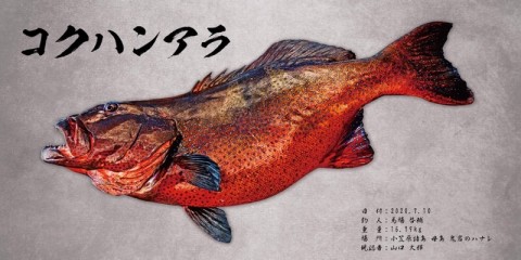 5f5i5ojnmi6mvextposm_480_240-3d4c3205.jpg