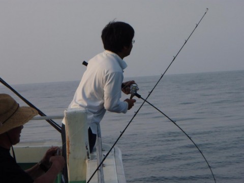 5f9j4ttca9kmv6cboywd_480_480-e28917db.jpg