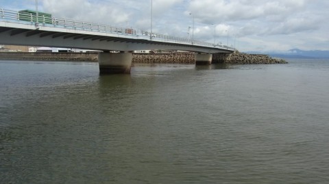 5fdh4mtX3pMuOXAOSvKi_480_480-94c36a97.jpg