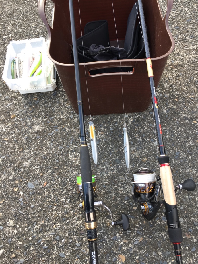 ブログ 一年間シーバス釣りをして