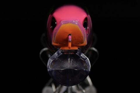 5fr9k73uf54czttgjt7v_480_480-6cb294e9.jpg