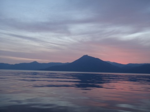 5frv7zbvminmsokgdh8r_480_480-5f1376ae.jpg