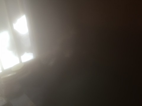 5gftcwpkx8gm5o46kxm7_480_480-033c62fe.jpg