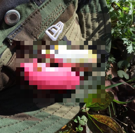 5ggsrsvrxss2ywbbg2gw-81796518.png