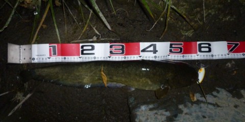 5ggzafyvwraxcwwavpzr_480_480-e1c77dc5.jpg
