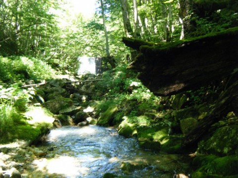 5goykwnoevkstmif2k2k_480_480-e3962a1c.jpg