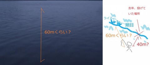 5gxjpduv2mc79554bt47_480_480-d4e37aaf.jpg