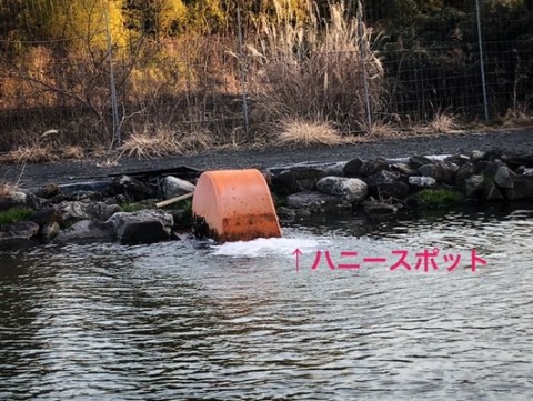 5gyg3du6wn7e3eebuyou_480_361-b83867f2.jpg
