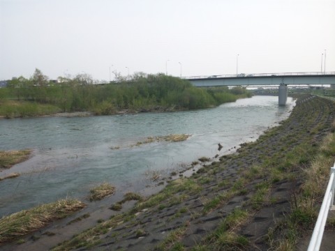 5hngpgwamyzmx2ejspx8_480_480-073c585d.jpg
