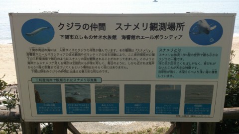 5hw339df52ebv493dwko_920_517-00040f87.jpg