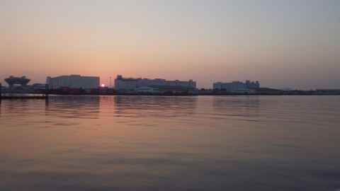 5i2mny2hzuu9ad9ogf9d_480_480-c7176500.jpg