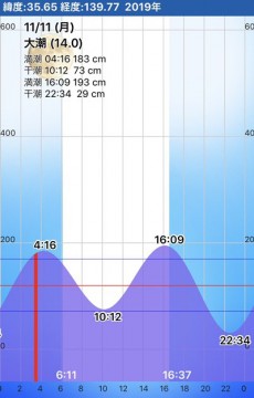 5i784kn2b6x4ekeb7byk_307_480-8acd2b76.jpg