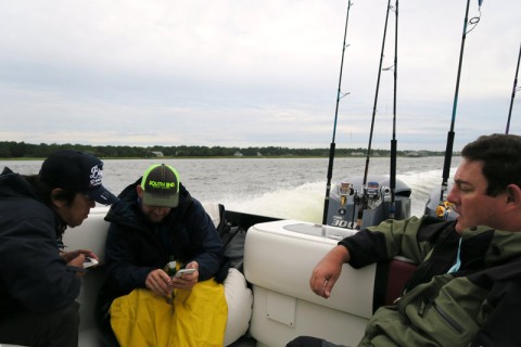 5iiv2s4ahttdbzhju7hy_480_480-324d97d4.jpg