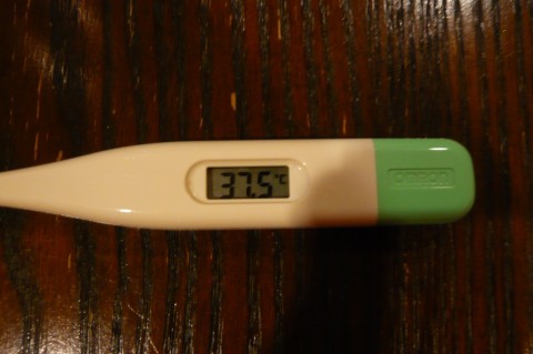 5ijcf74zf8mmbsa9ywzb_480_480-001b64d4.jpg