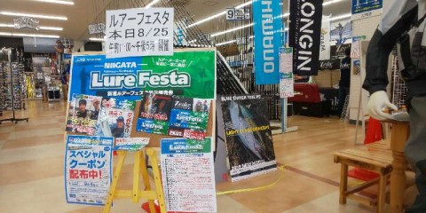 5iokhagbhhaafdemahcy_480_480-395b937a.jpg