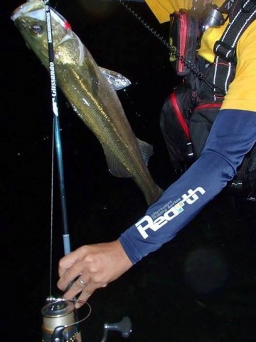 5jgk7kb3bxc7rvpkb92y_480_480-cc7cac71.jpg