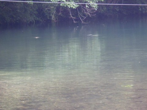 5jvt5mbe9mmzscz3yjsv_480_480-b83cb0c7.jpg
