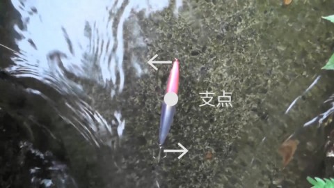 5ksp34tkkj2tm8ibe3w6_480_480-0ca6c17f.jpg