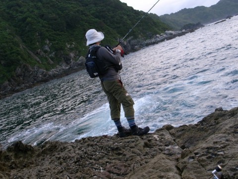 5kts5xfjieay83cahi49_480_480-3d013524.jpg