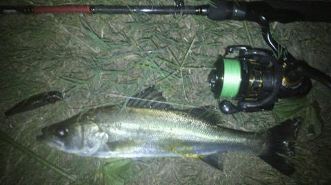 5ky8mm9e6zk79jgbpdfs_480_480-89056138.jpg