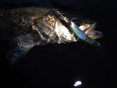 5m569upmgtosmbjnex5f_920_690-29478d95.jpg