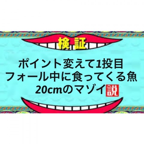 5magrgxph23swkw79io2_920_920-a9028630.jpg