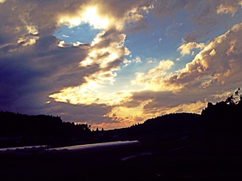 5mp63h3vg6jeboepnfnp_920_690-7c6f4d97.jpg
