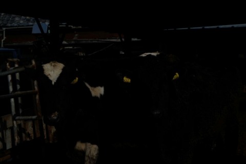 5mw96cov8suwjd8tzf4b_920_613-83c96ce7.jpg