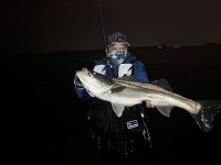 釣りログ】 電気式エイガード「海園（カイエン）」