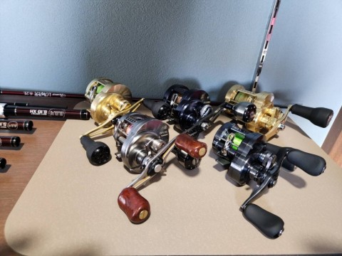5o6pk8m8dtmzsz9txp78_480_480-66098af2.jpg