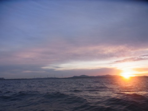 5o878ub23rw446782czf_480_480-bde50288.jpg