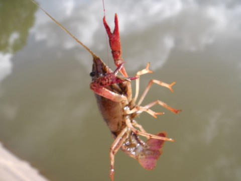 5ojhamndcbhs2j935eua_920_690-e724f575.jpg