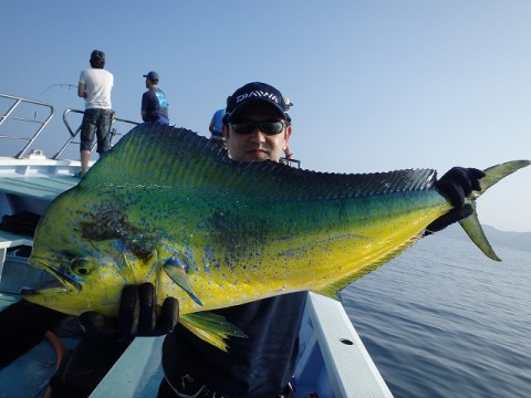 5oncyj7k53hddpgdcg67_480_480-5f9f5374.jpg