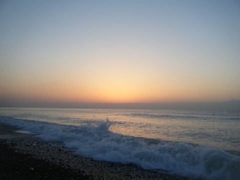 5ooz8snkphu83njjr6re_480_480-c45b4324.jpg