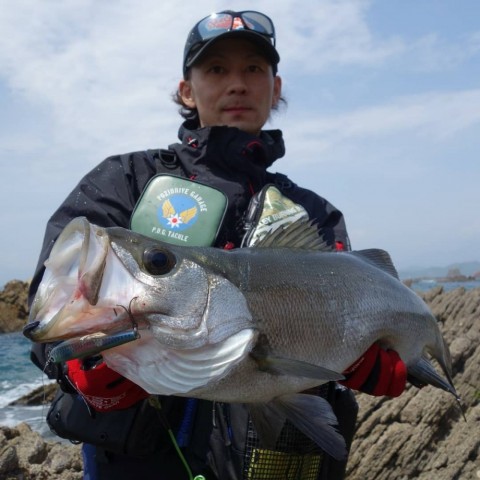 5orcm72g6fss7pabc56f_480_480-5556191a.jpg