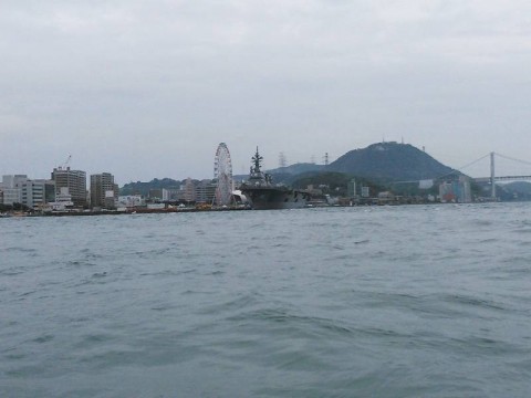 5ou8cdosatsr8suhya8f_480_480-c5dddf83.jpg