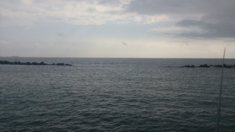 5oxvzkznxsvxjbcfdv8v_480_480-0d692807.jpg
