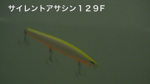 5oy322xjucumnbiv8jgy_480_480-eadd3d6e.jpg