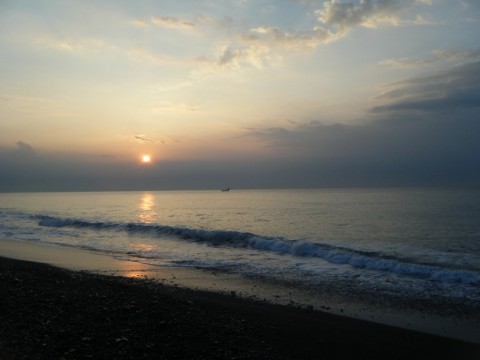 5pdtyzy3fp9kzfkzx449_480_480-d956f8b7.jpg