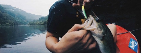 5pho4aa573f5urwmxofh_480_182-8e7f069f.jpg