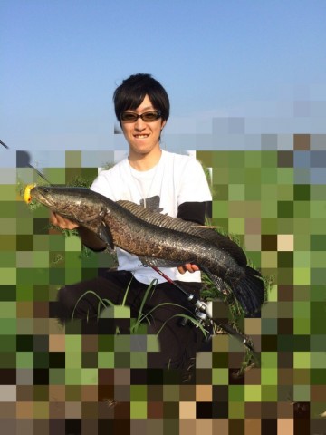 5pmnkh9oab6t4dx376s3_690_920-96066c06.jpg