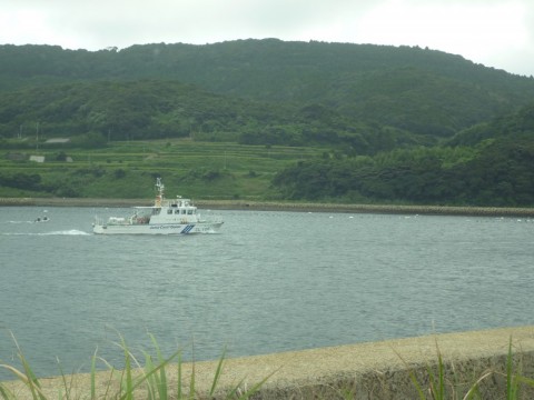 5rhtdeau676jphhwsnwg_480_480-a43c8949.jpg