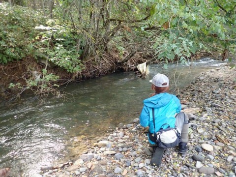 野生児自然にかえる 脱ベストスタイル