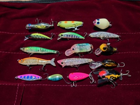 5roeozkr2rm9ei24p2te_480_480-3d74e035.jpg