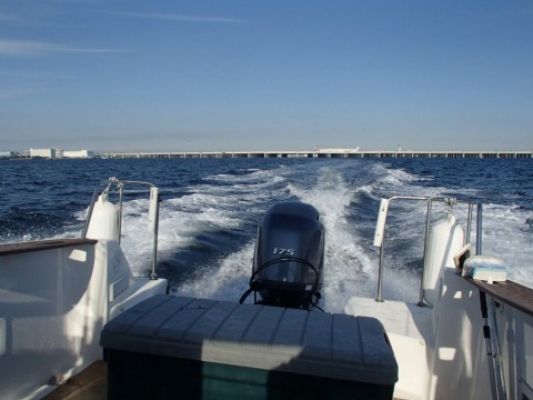 5rymus4kvgoxc9s9he2r_920_690-5ed76da2.jpg