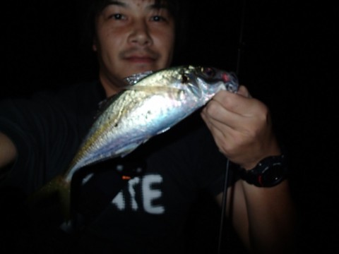 5s6we5b96m7mmyu99zfu_480_480-c2ebc570.jpg