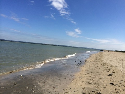 5s74zc6j5ktbdk8wmypj_480_480-12773663.jpg
