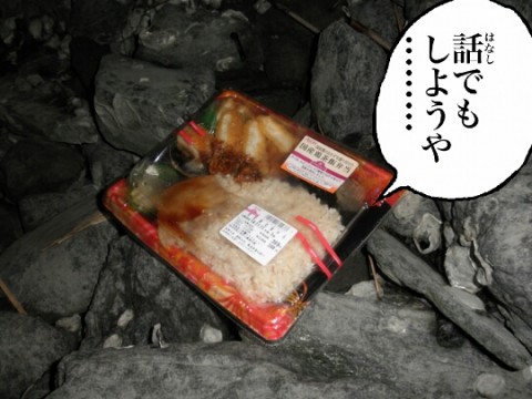 5seiamtwhckojm7aebk3_480_480-97d067b0.jpg