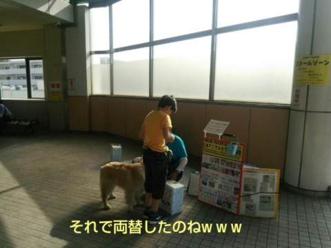 5sfmox9x5s6ah7cweb8b_920_690-285645f6.jpg